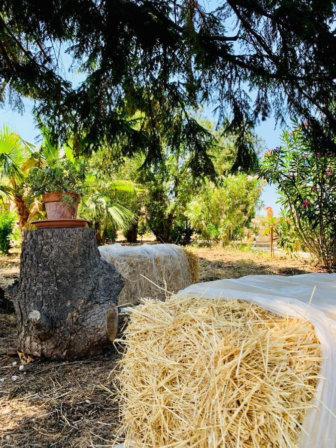 Trulli Pietra Viva Villa Alberobello Dış mekan fotoğraf